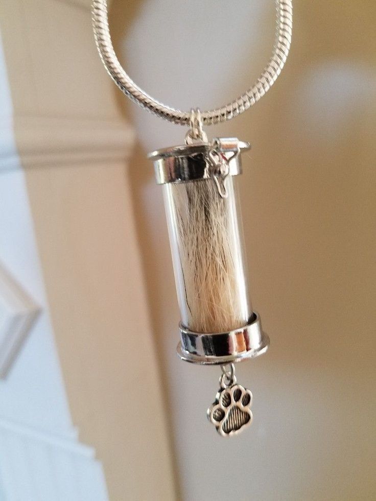 Guardapelos para Perros y Gatos