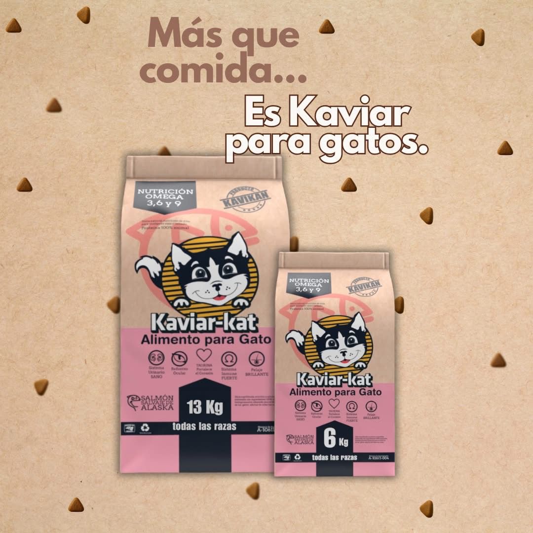 Kaviar-kat Gato