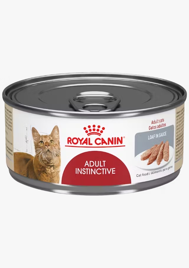 Royal Canin Gatos Adultos